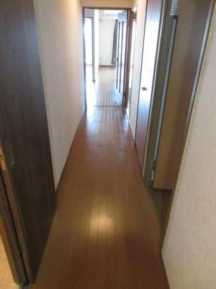 �y���̑��z�@�L��