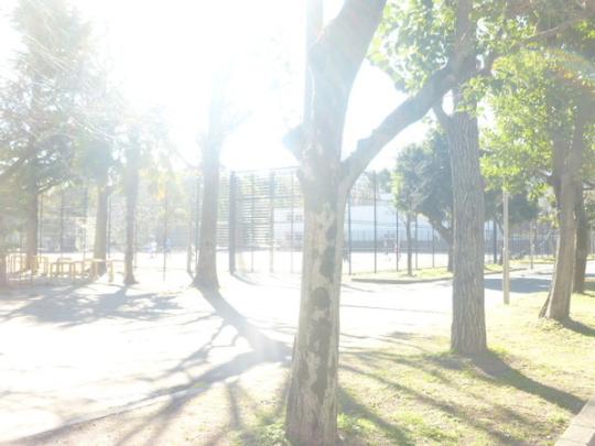 �y���Ӂz�@�썻�O���ڌ���:755m