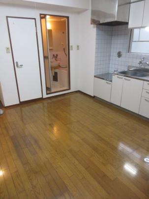 �y���̑��z�@�_�C�j���O