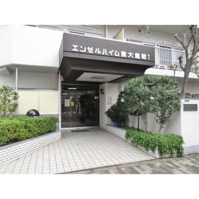 �y�����O�ρz�@�G���g�����X