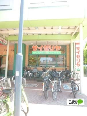 �y���Ӂz�@�T�C�[���� �C�I���t�[�h�X�^�C���哇�X�F584m