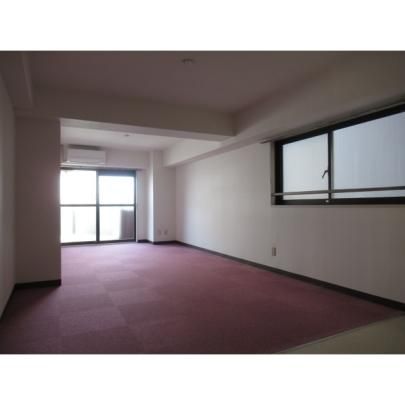 �y���̑��z�@���r���O