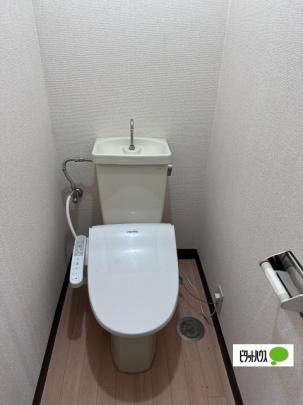 �y���̑��z�@�g�C��