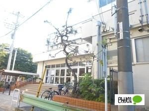 �y���Ӂz�@�]���旧��Z�������w�Z�F239m