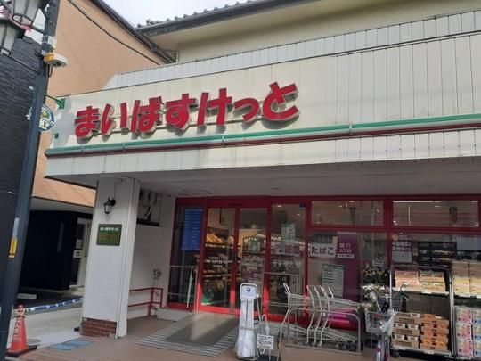 �y���Ӂz�@�}�C�o�X�P�b�g�F178m