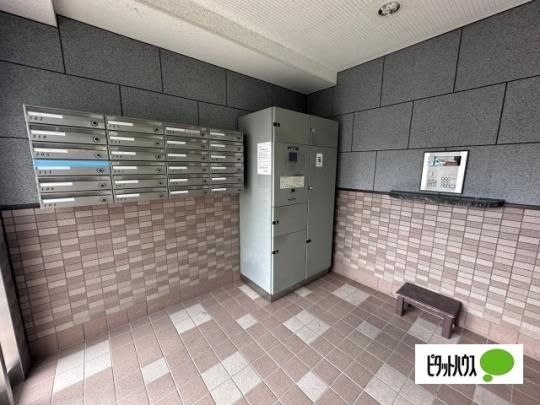 �y�����O�ρz�@�I�[�g���b�N�A��z�{�b�N�X