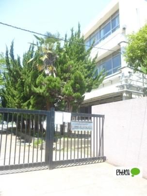 �y���Ӂz�@�]���旧���哇���w�Z�F557m