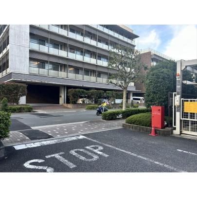 �y���̑��z�@