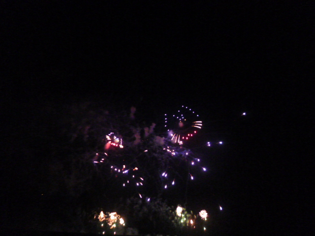 浦安花火大会に行ってきました 15年7月26日更新 浦安花火大会に行ってきました 東大島の賃貸は住まい応援 Com ピタットハウス東大島店