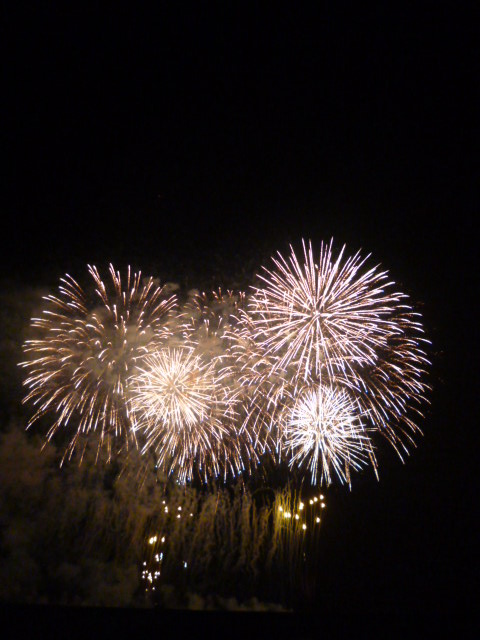 浦安花火大会に行ってきました 15年7月26日更新 浦安花火大会に行ってきました 東大島の賃貸は住まい応援 Com ピタットハウス東大島店