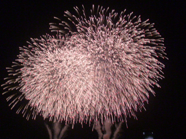 浦安花火大会に行ってきました 15年7月26日更新 浦安花火大会に行ってきました 東大島の賃貸は住まい応援 Com ピタットハウス東大島店